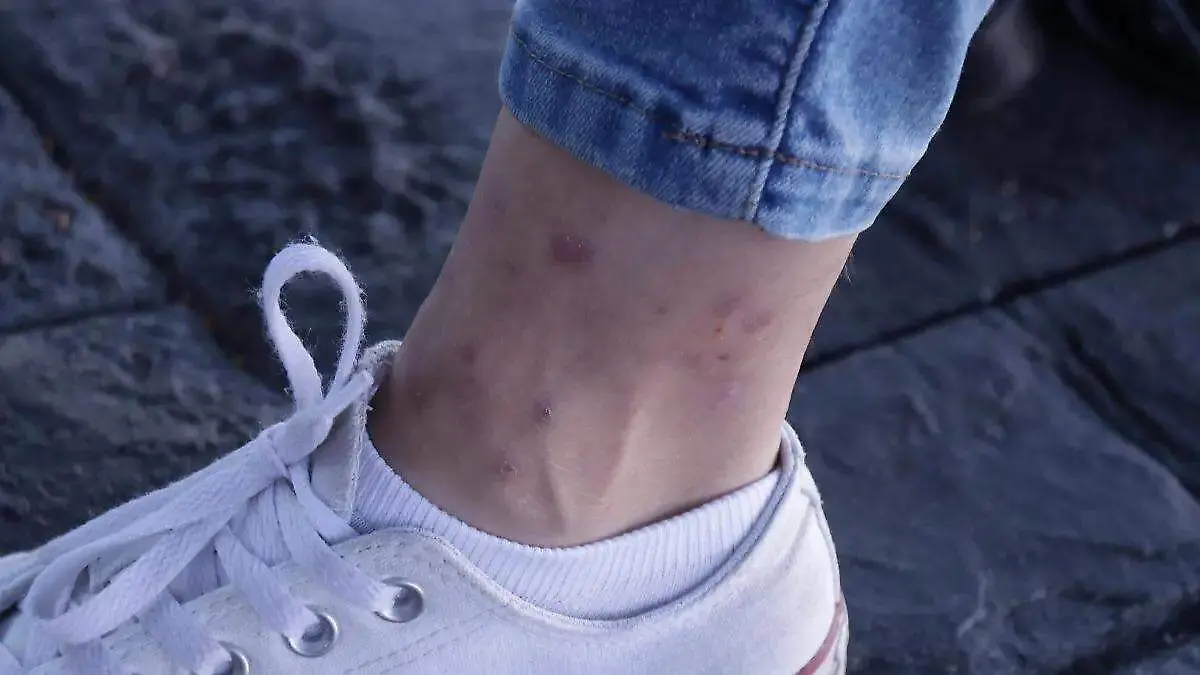 WhatsApp Image 2026-02-09 at 8.13.31 PM