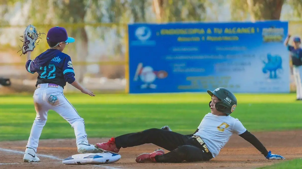 WhatsApp Image 2026-02-10 at 2.30.54 PM