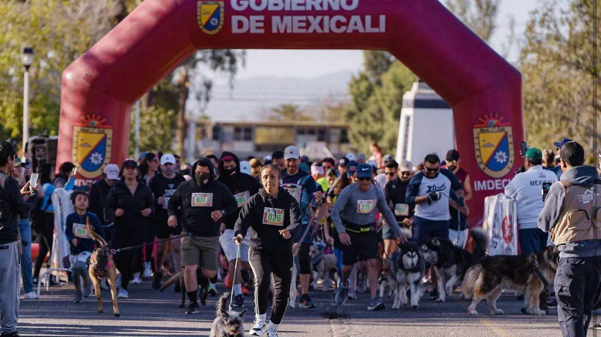 WhatsApp Image 2026-02-10 at 3.22.30 PM