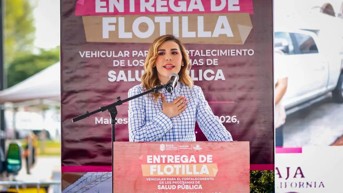 WhatsApp Image 2026-02-10 at 11.02.59 AM