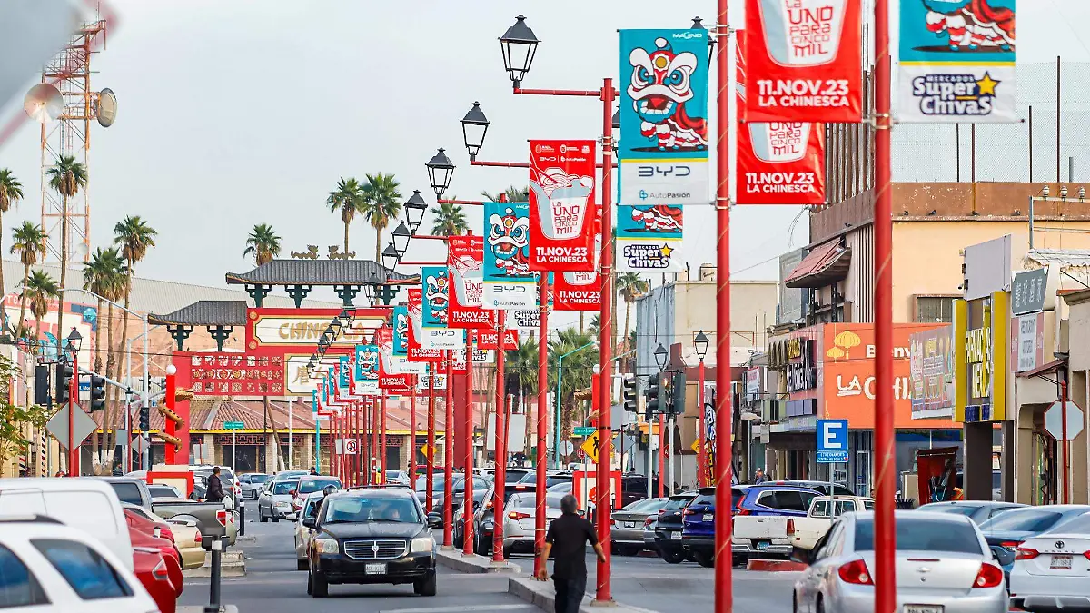 20231219164621__MG_3801