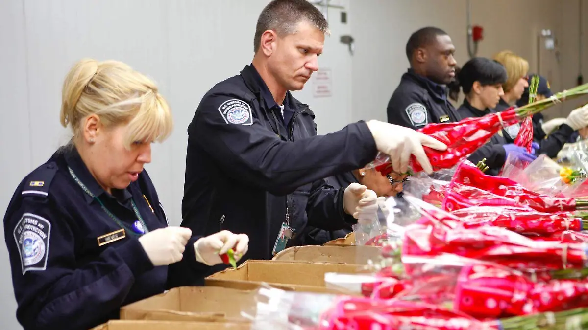 WhatsApp Image 2026-02-10 at 5.04.44 PM