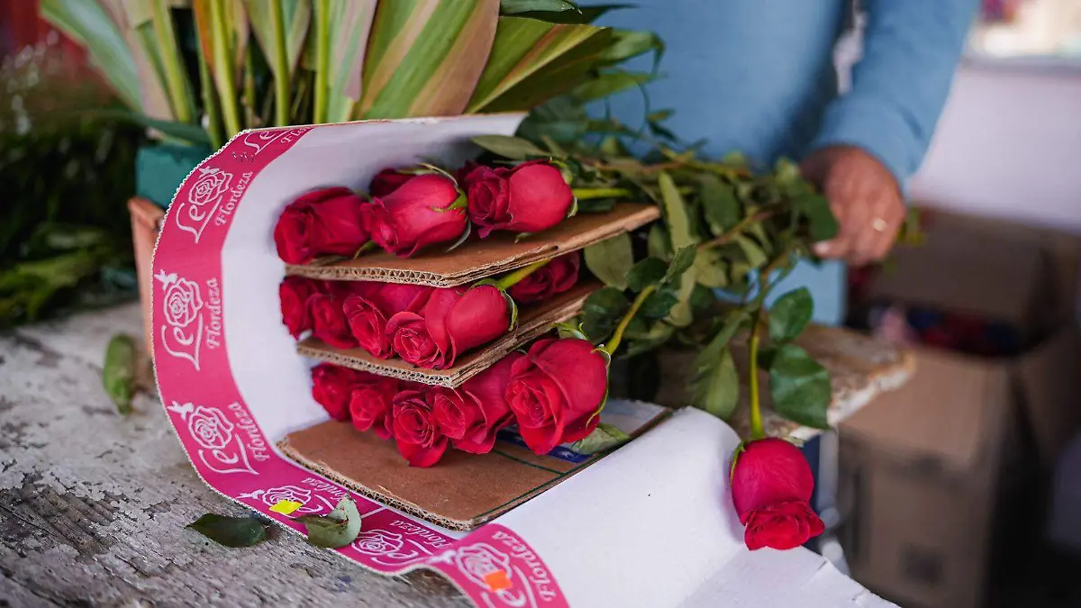 WhatsApp Image 2026-02-12 at 3.30.33 PM