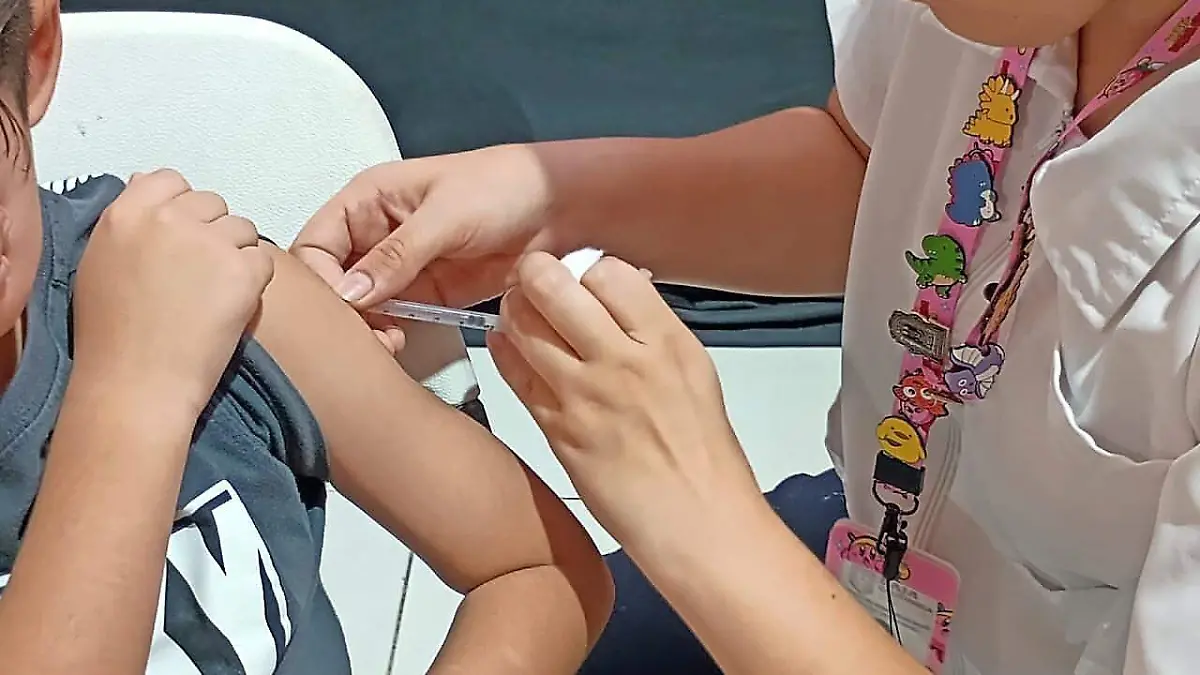 WEB-WhatsApp Image 2026-02-12 at 3.31.35 PM (1)