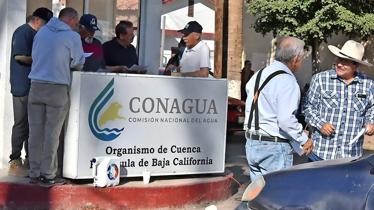 WEB-WhatsApp Image 2026-02-13 at 3.15.42 PM