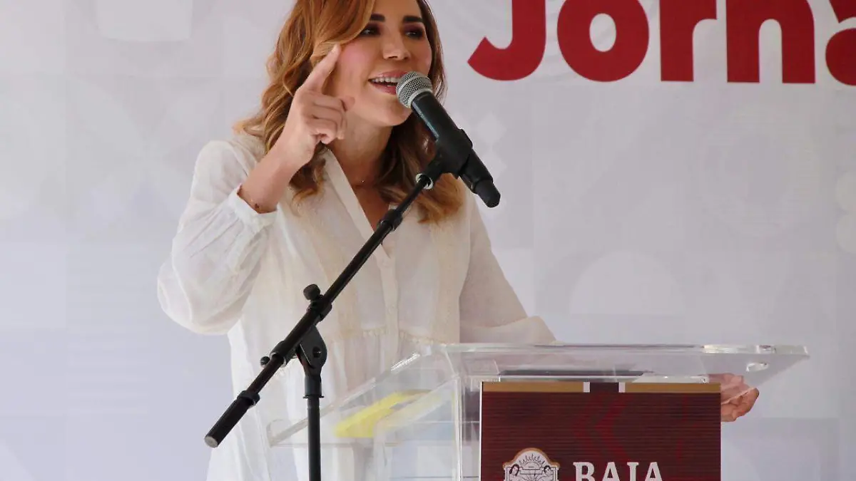 WhatsApp Image 2026-02-14 at 11.47.37 AM