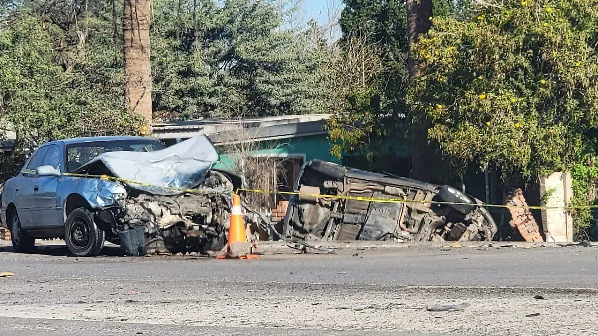 WhatsApp Image 2026-02-15 at 10.08.43 AM