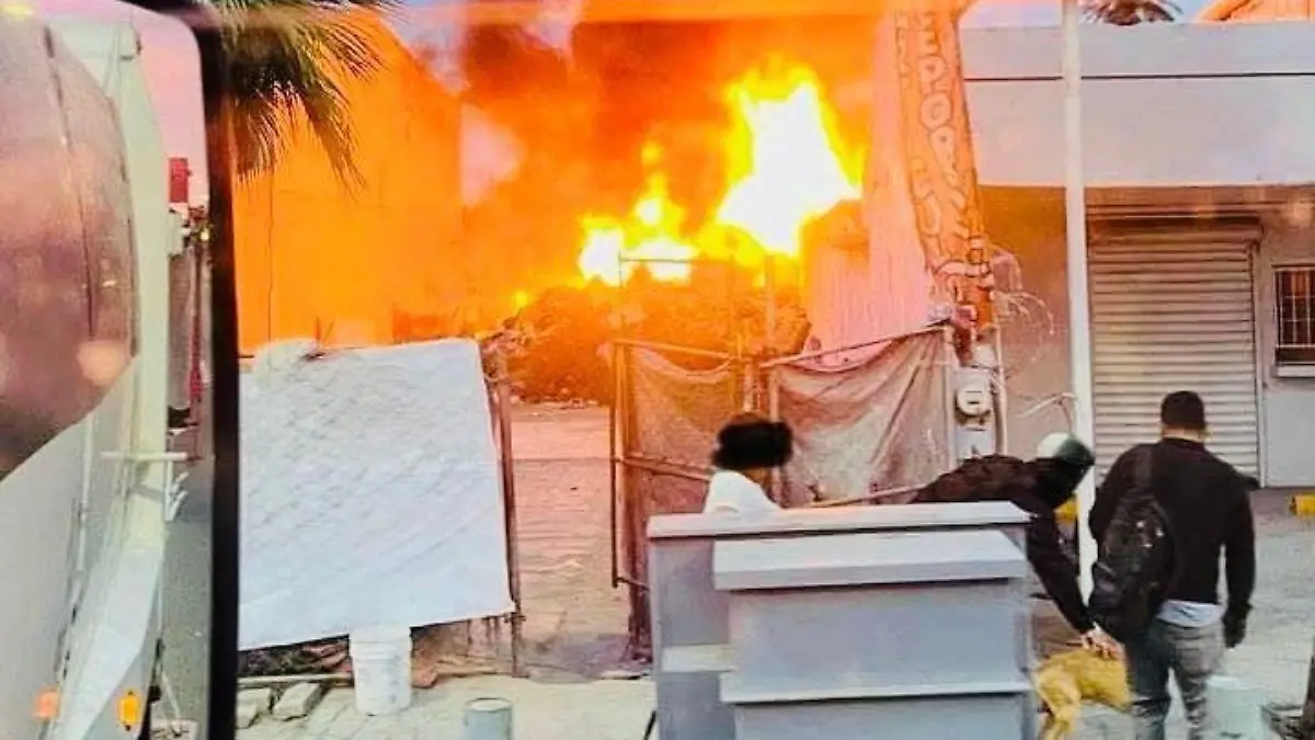 c03473c1-654d-424c-a3c1-63d1872c7af1