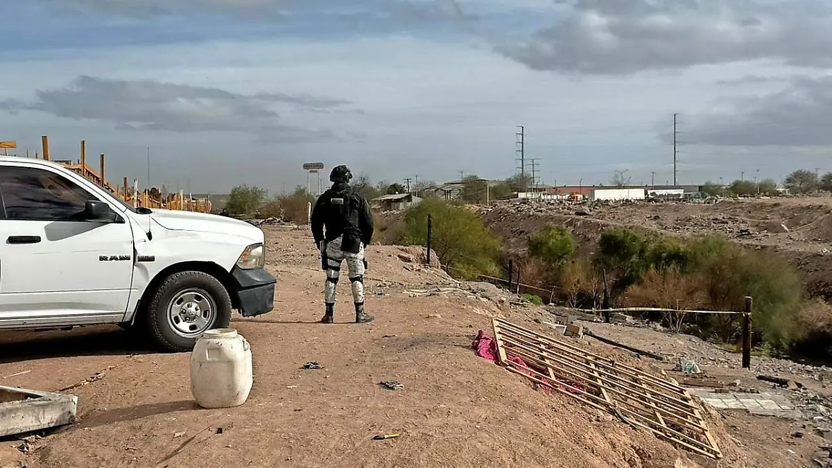 WEB-WhatsApp Image 2026-02-16 at 5.02.29 PM