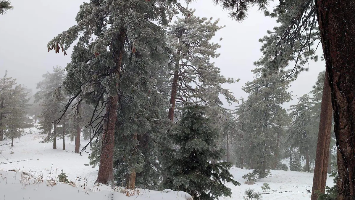 636673927_1236543885261479_825928567033311417_n