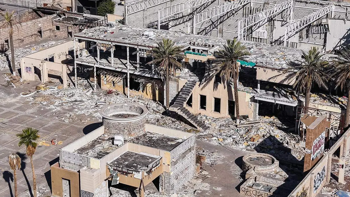 WhatsApp Image 2026-02-17 at 9.36.48 AM