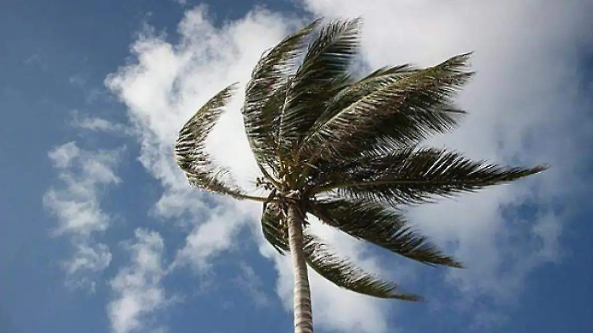 WhatsApp Image 2026-02-18 at 8.30.15 AM