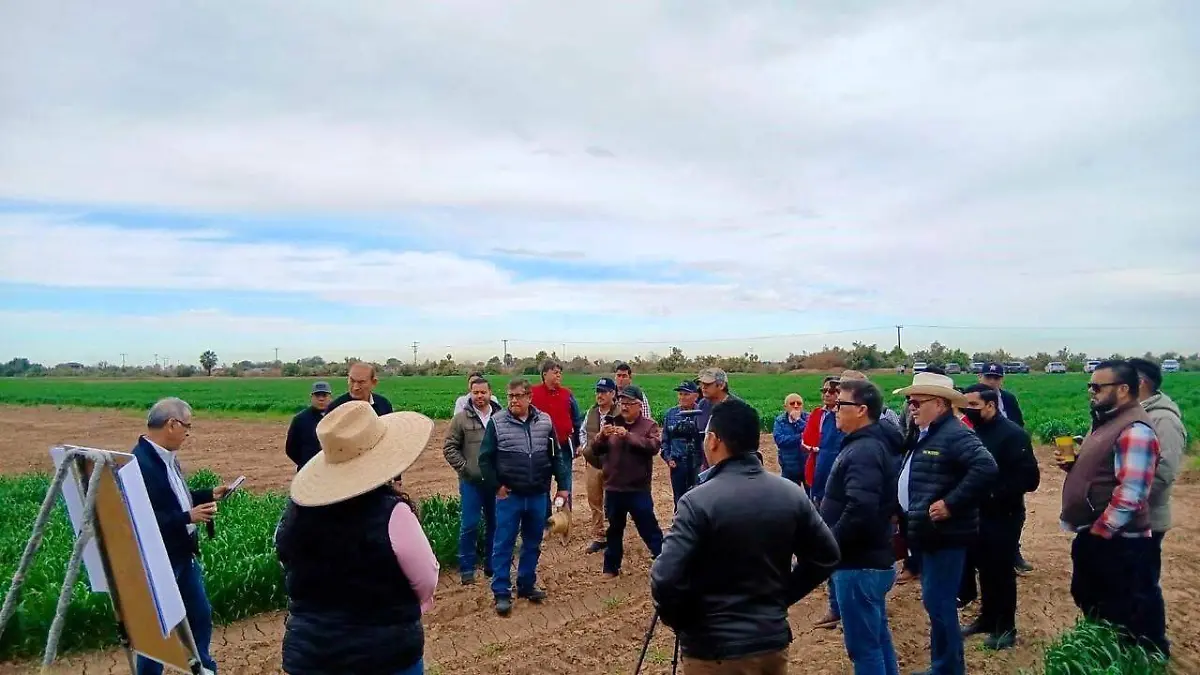 WhatsApp Image 2026-02-14 at 1.56.29 PM (33)