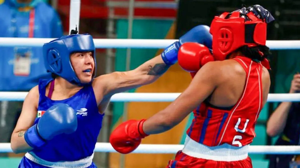 WhatsApp Image 2026-02-17 at 4.11.11 PM