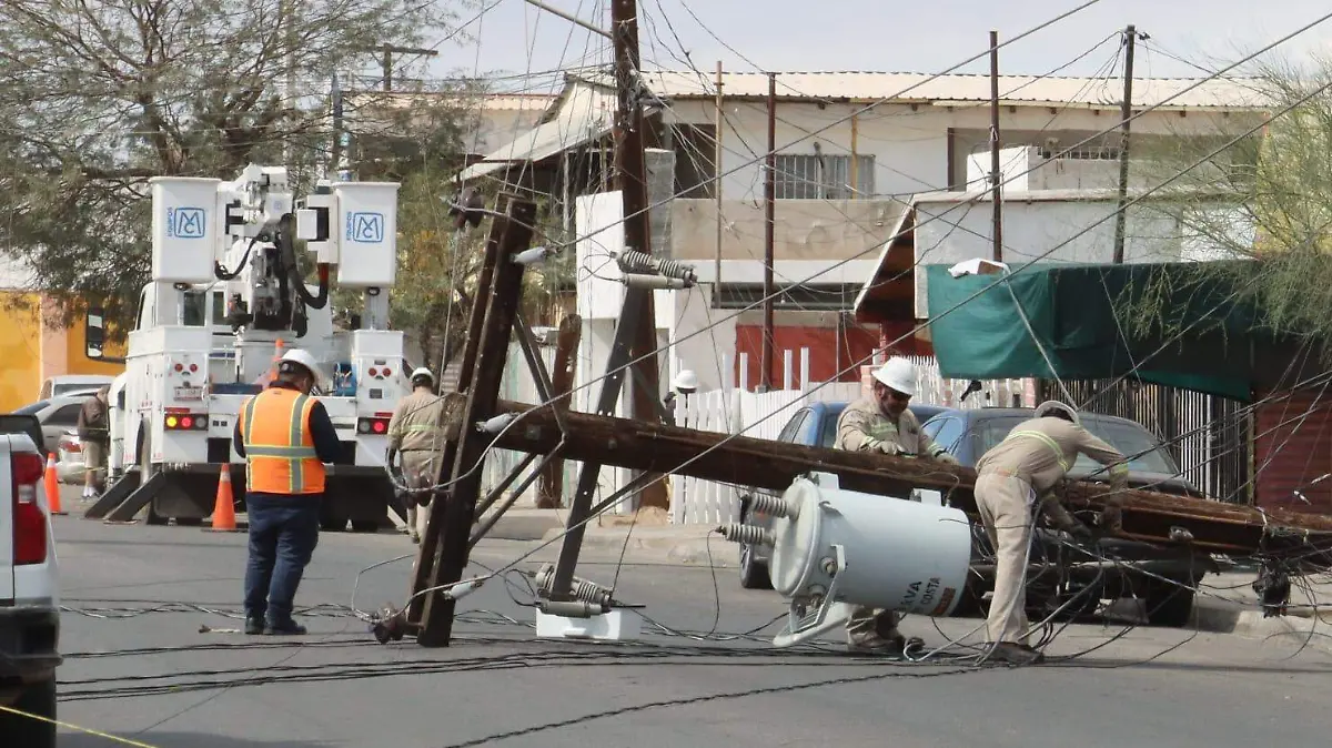 WhatsApp Image 2026-02-18 at 11.39.54 AM