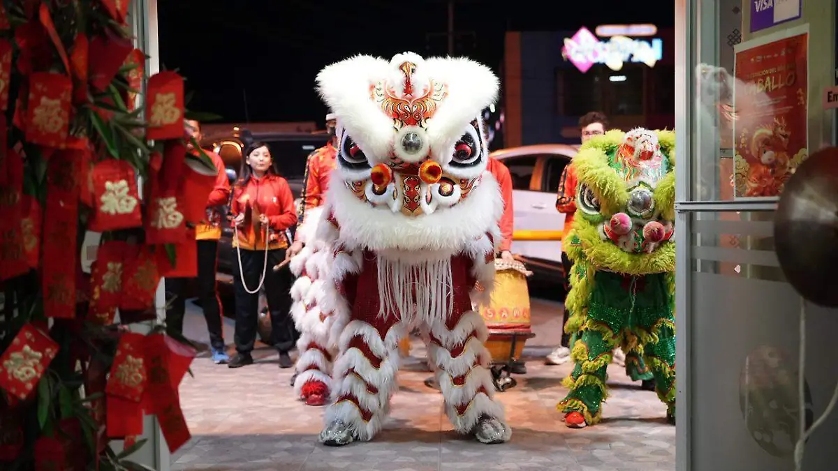 WhatsApp Image 2026-02-18 at 7.44.44 PM