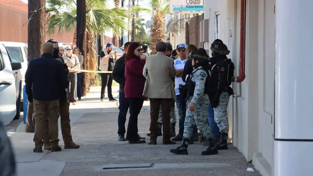 WhatsApp Image 2026-02-19 at 10.36.45 AM