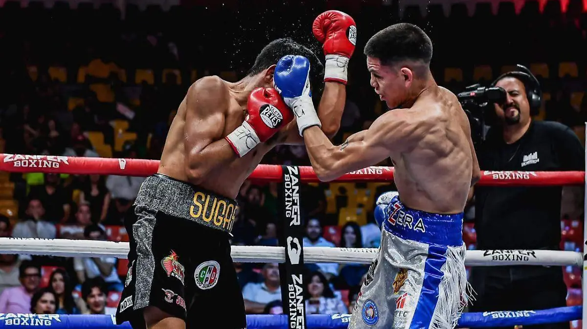 WhatsApp Image 2026-02-19 at 2.41.02 PM