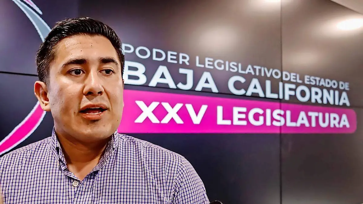 WEB-WhatsApp Image 2026-02-19 at 3.39.49 PM