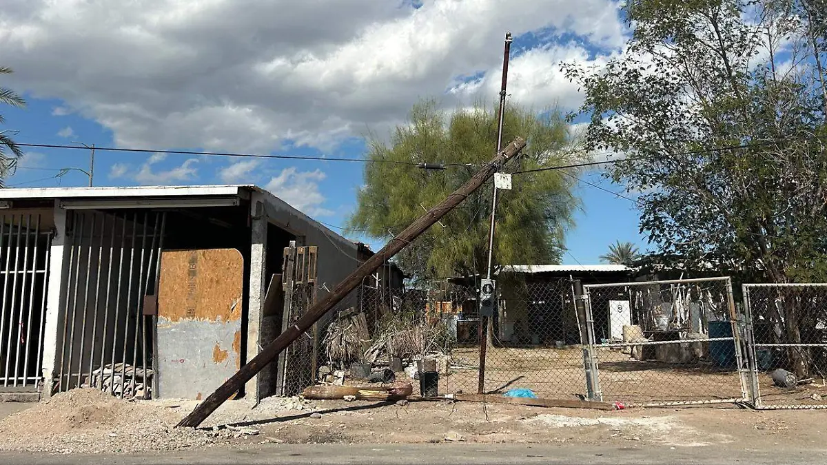 WhatsApp Image 2026-02-17 at 12.12.47 PM