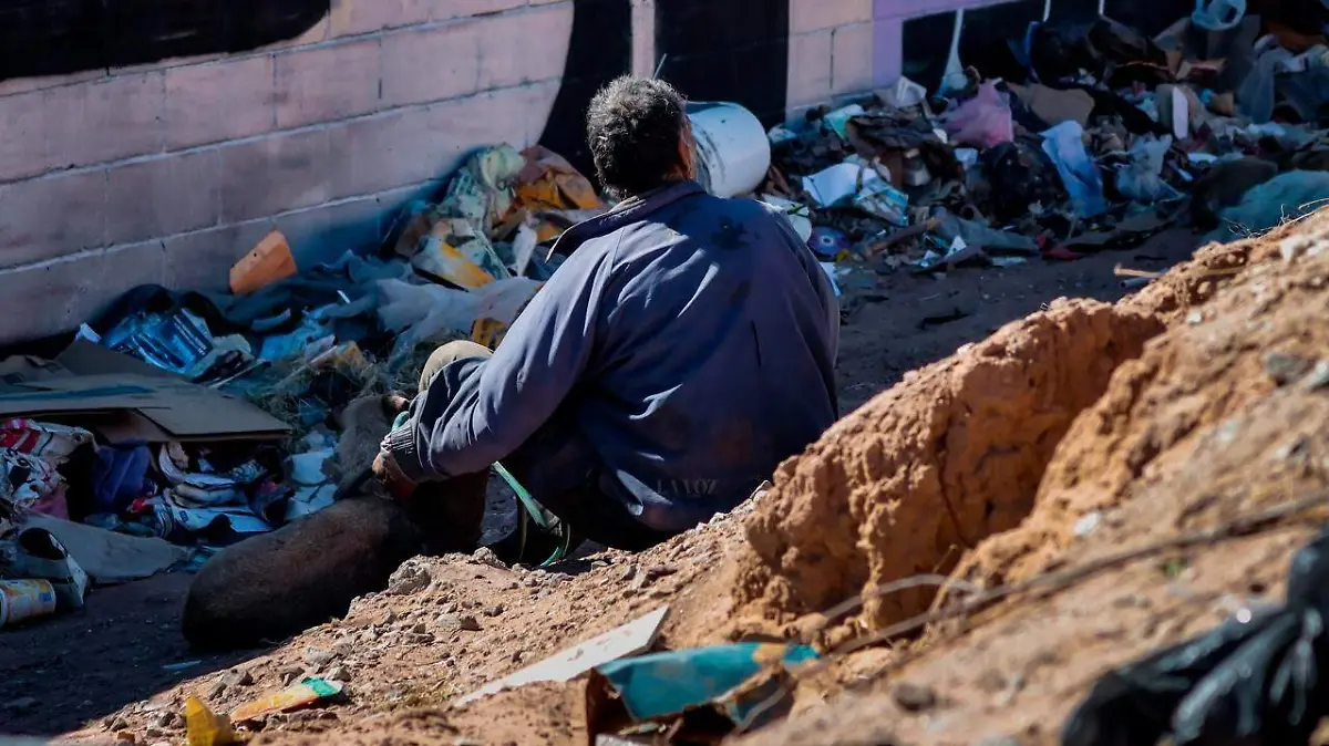 WhatsApp Image 2026-02-20 at 12.25.20 PM