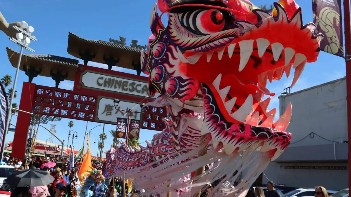 WhatsApp Image 2026-02-21 at 12.33.43 PM