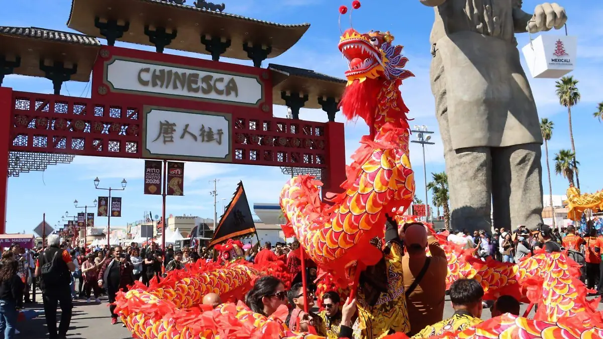 WhatsApp Image 2026-02-21 at 12.33.50 PM