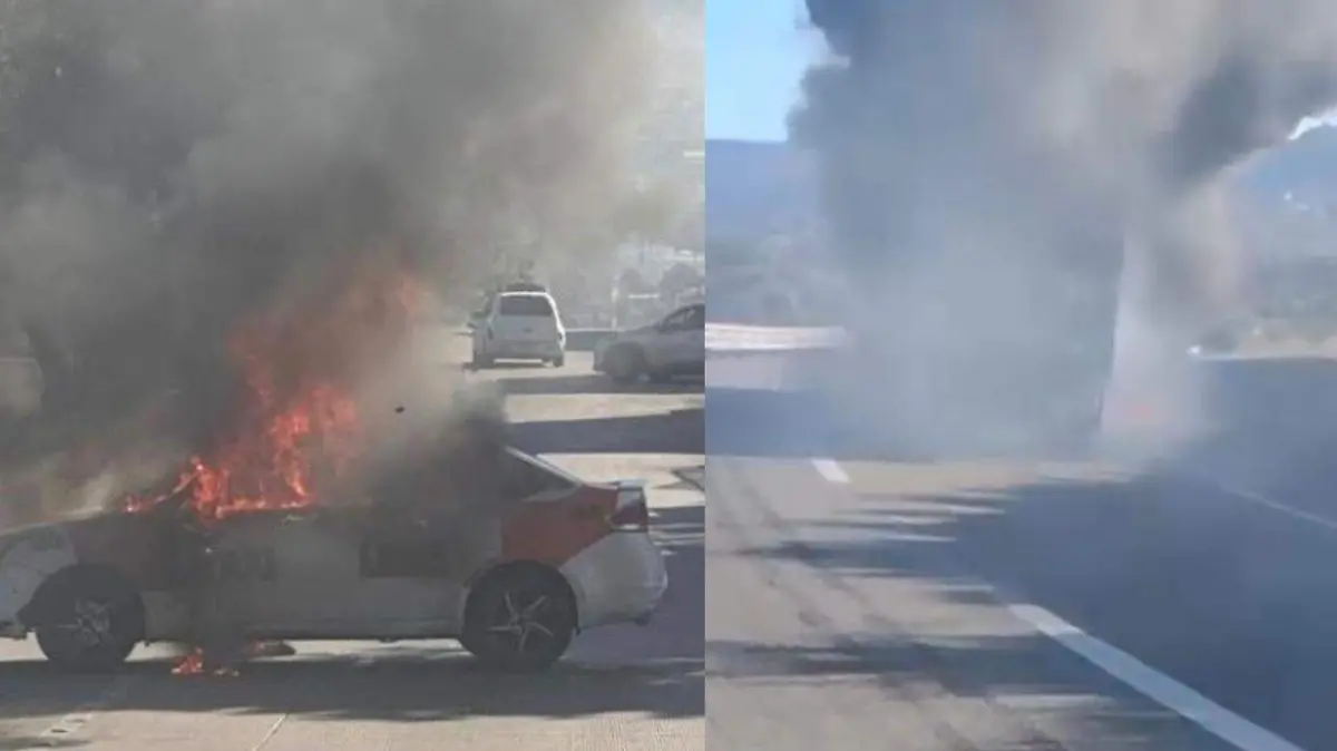 WhatsApp Image 2026-02-22 at 9.56.16 AM