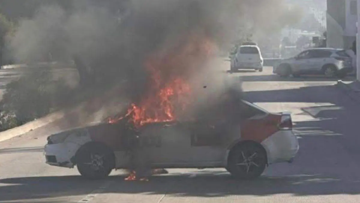 WhatsApp Image 2026-02-22 at 9.56.08 AM (1)