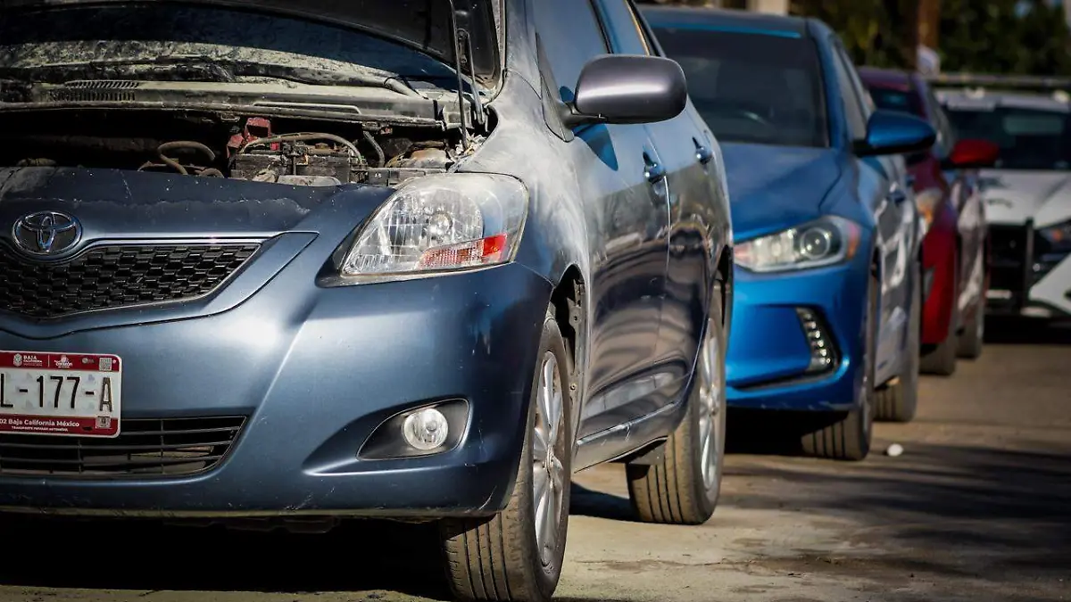 WhatsApp Image 2026-02-22 at 4.07.04 PM (1)