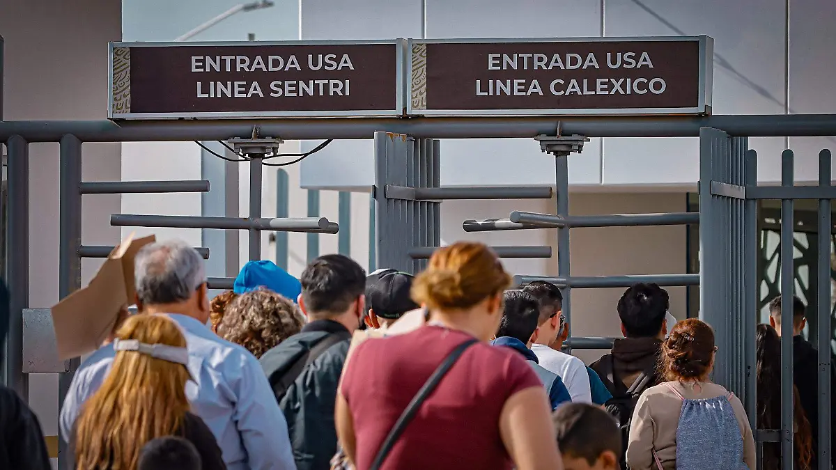 20231204132239__MG_1708