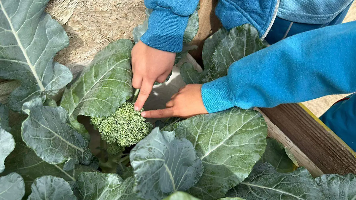 WhatsApp Image 2026-02-25 at 6.16.42 PM