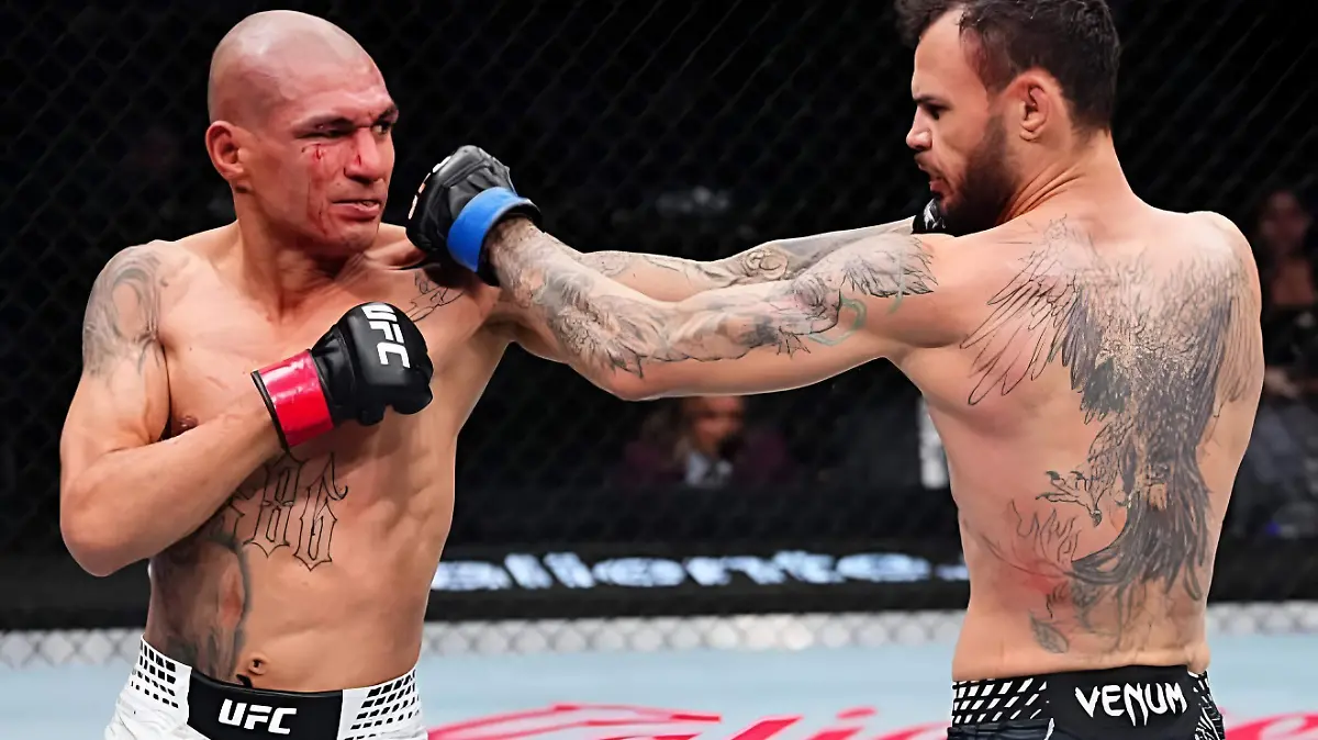 WhatsApp Image 2026-02-28 at 7.06.35 PM (1)