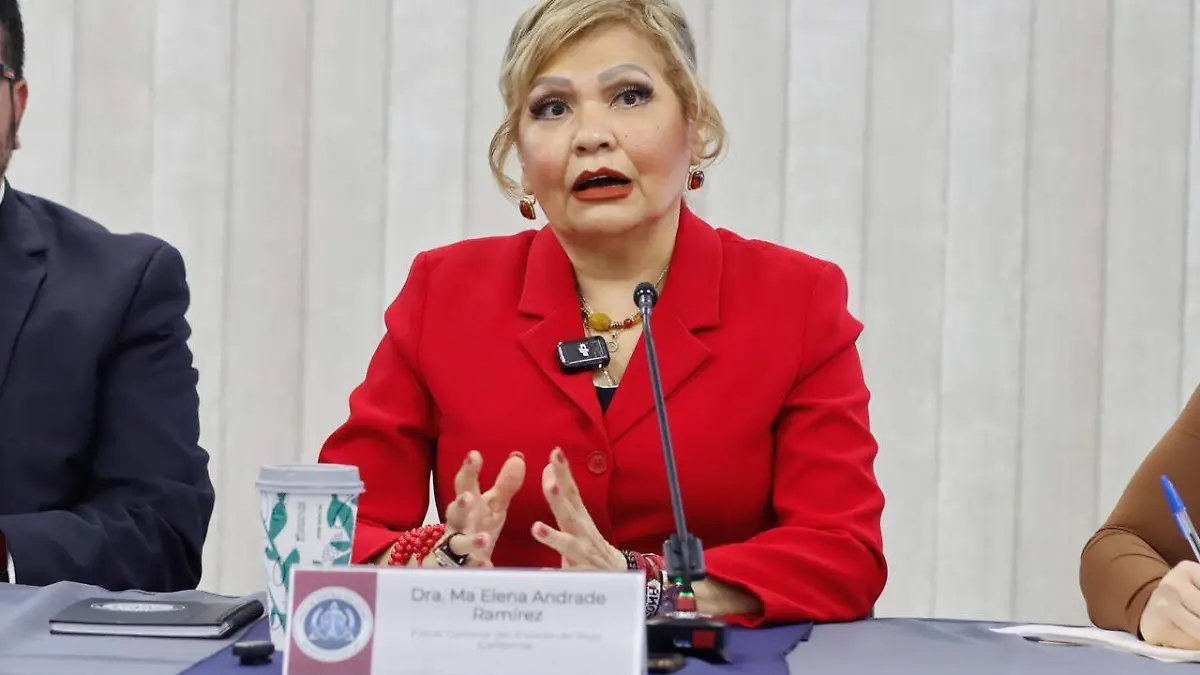 WhatsApp Image 2026-03-02 at 2.26.48 PM