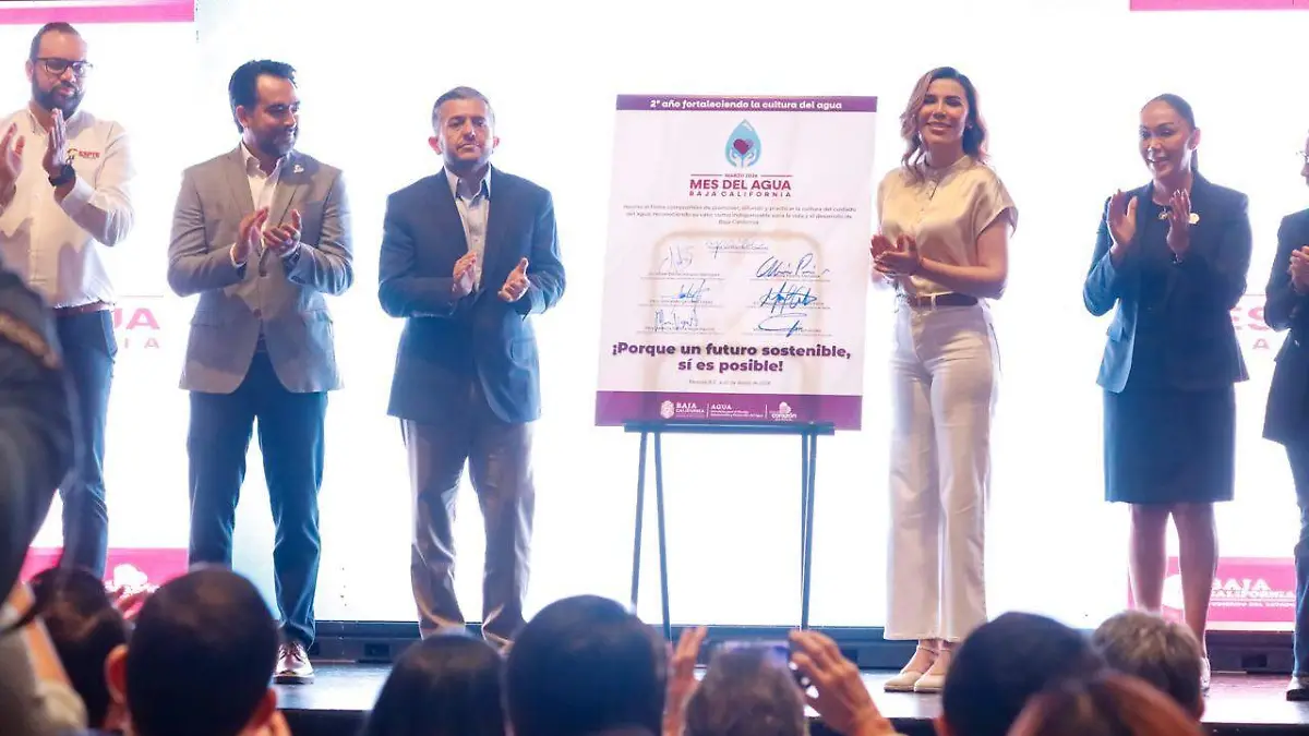 WhatsApp Image 2026-03-02 at 12.33.41 PM (1)