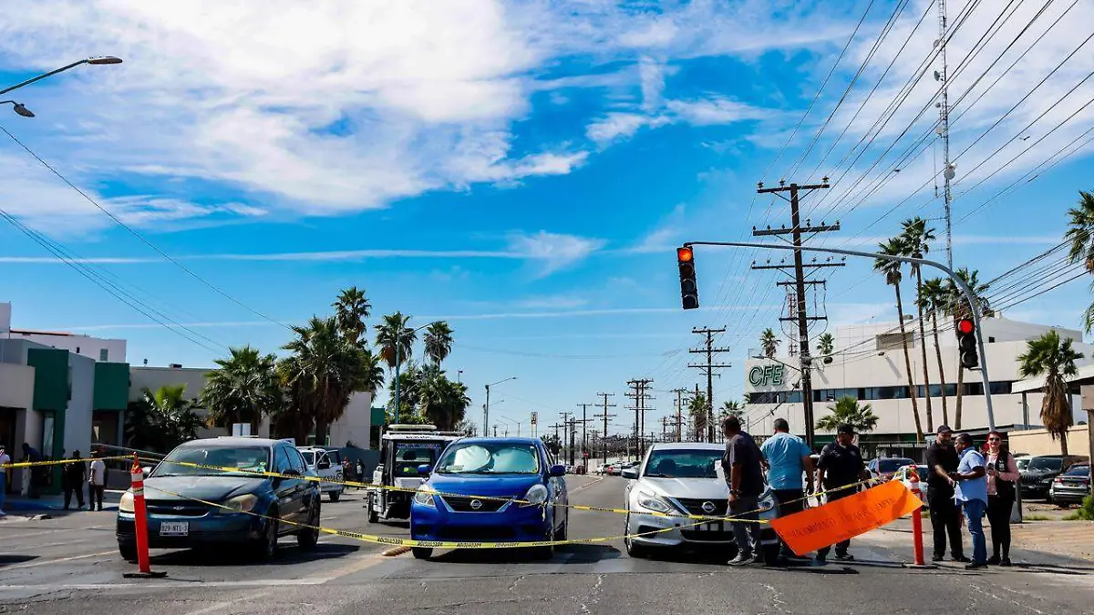 WhatsApp Image 2026-03-02 at 12.14.03 PM