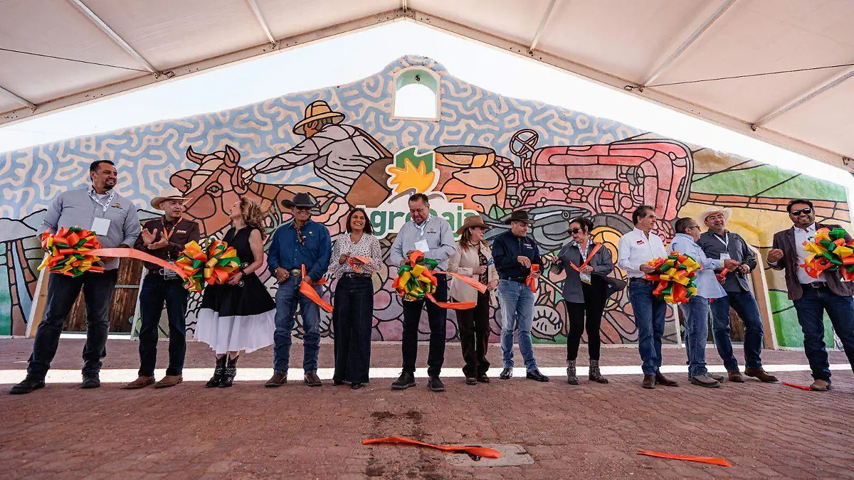 WhatsApp Image 2026-03-05 at 10.20.27 AM