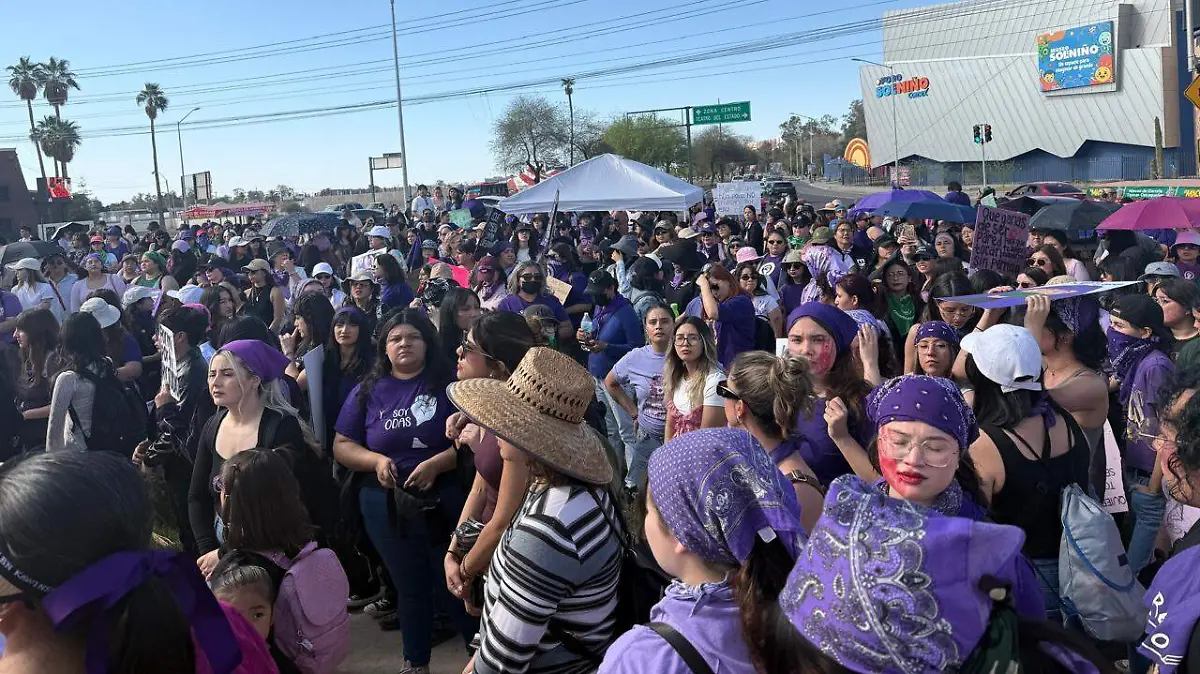 WhatsApp Image 2026-03-08 at 3.29.15 PM