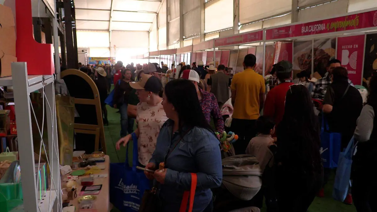 WhatsApp Image 2026-03-08 at 6.00.53 PM