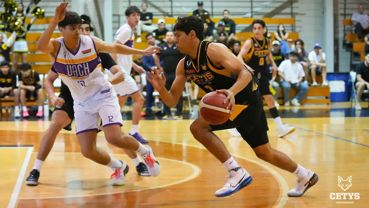 WhatsApp Image 2026-03-08 at 3.05.22 PM (1)