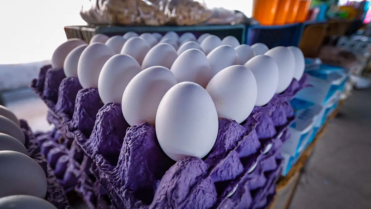 20240103111616__MG_4928