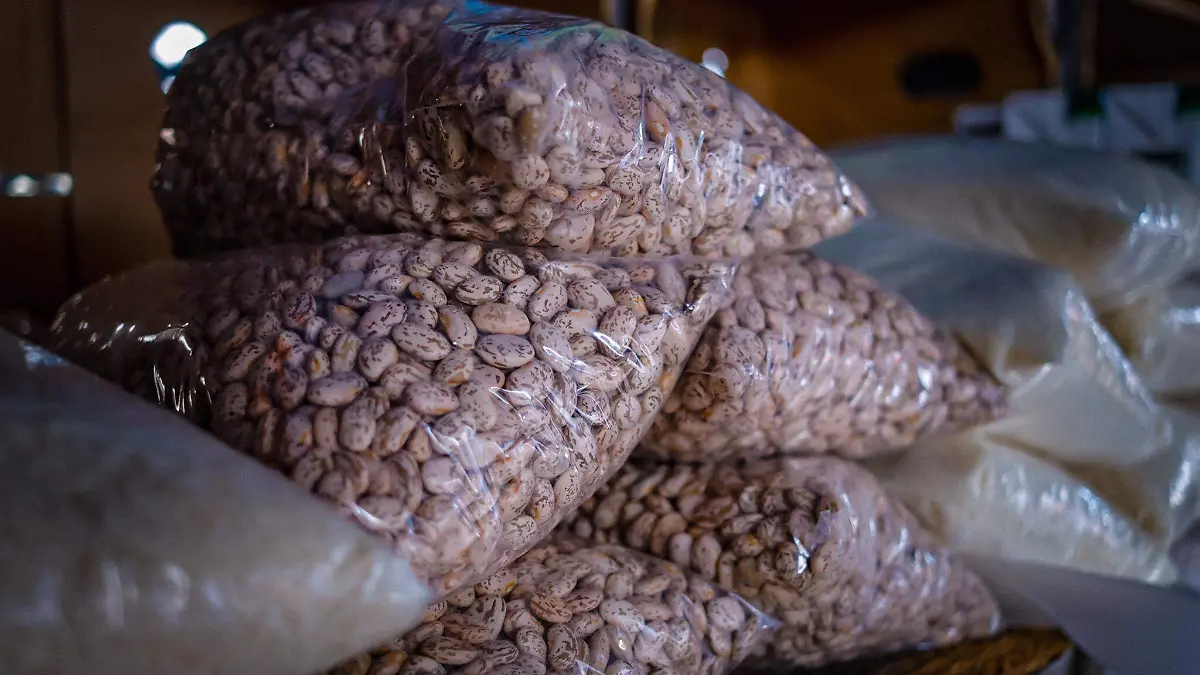 20240103111455__MG_4923