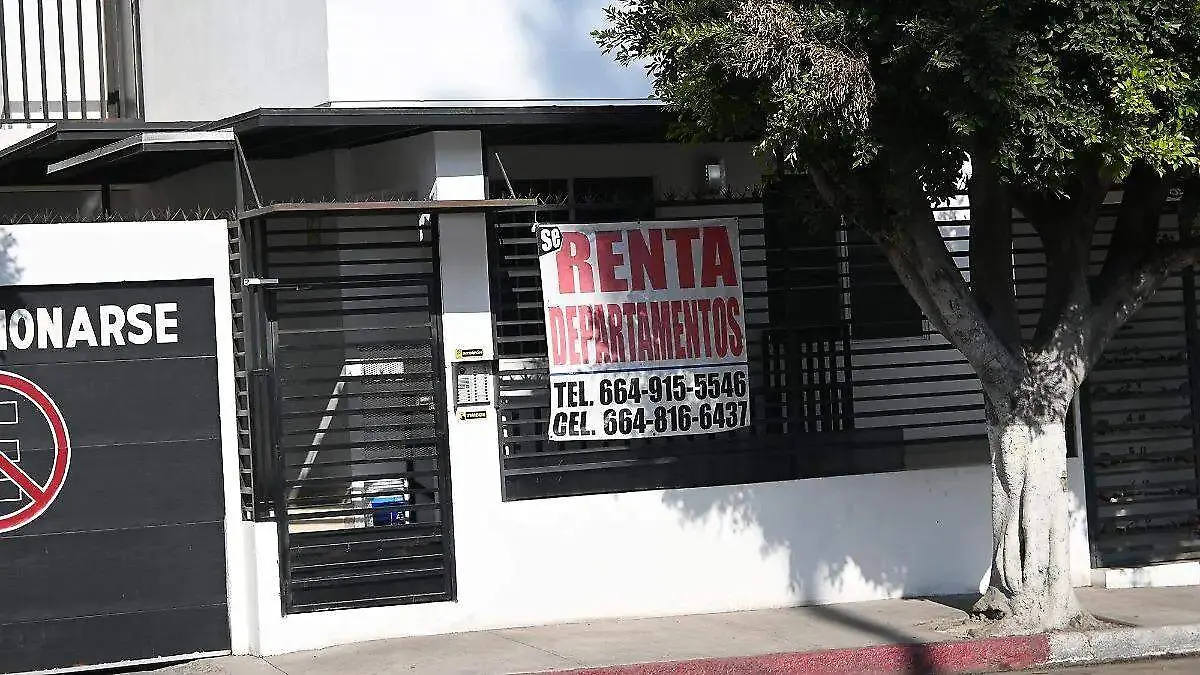 WhatsApp Image 2026-03-10 at 8.30.57 PM