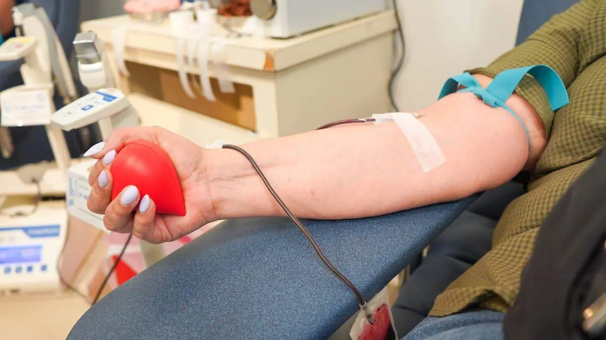 WhatsApp Image 2026-03-11 at 12.44.44 PM (1)