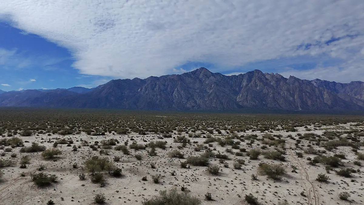 DJI_20260103115246_0005_D