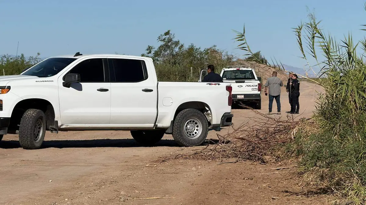 WhatsApp Image 2026-03-12 at 10.10.40 AM