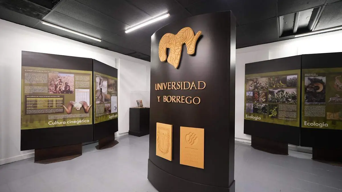 WhatsApp Image 2026-03-13 at 10.42.14 AM