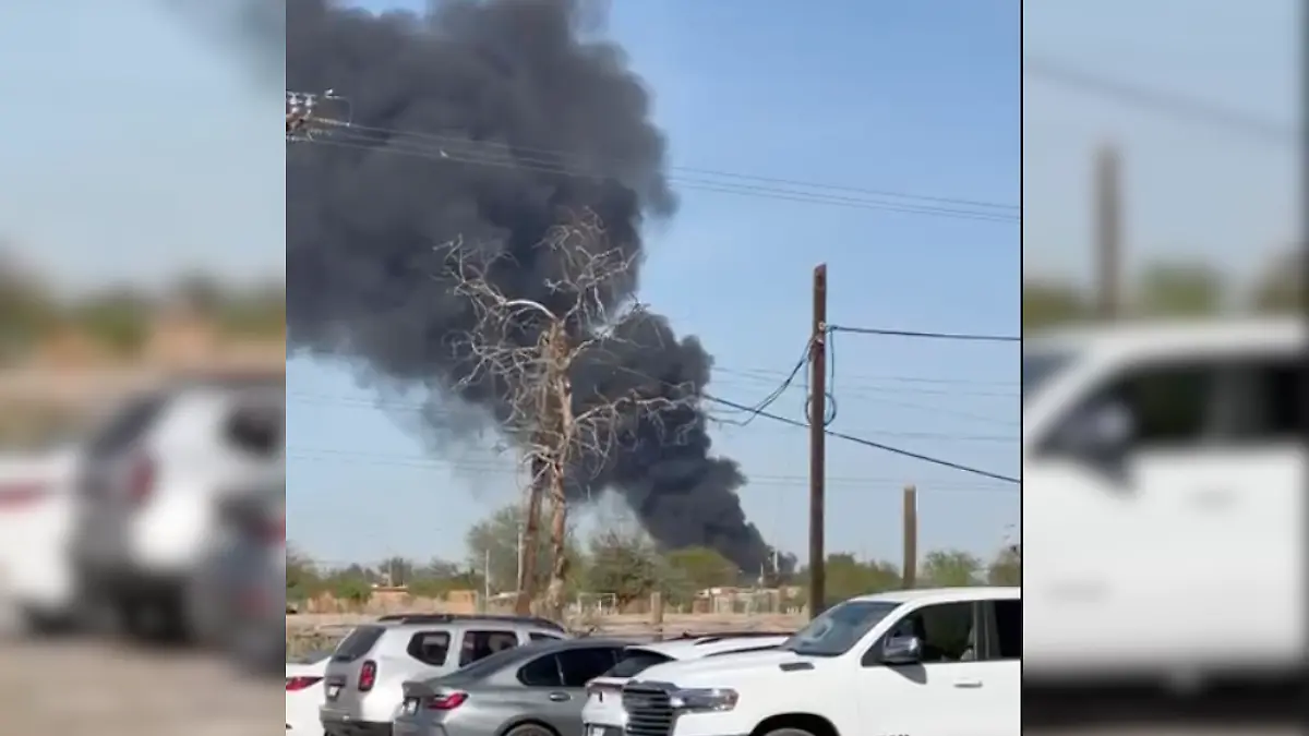 Diseño sin título - 2026-03-14T171508.105