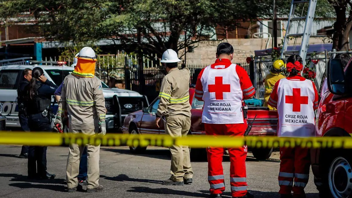 WhatsApp Image 2026-03-16 at 10.34.35 AM