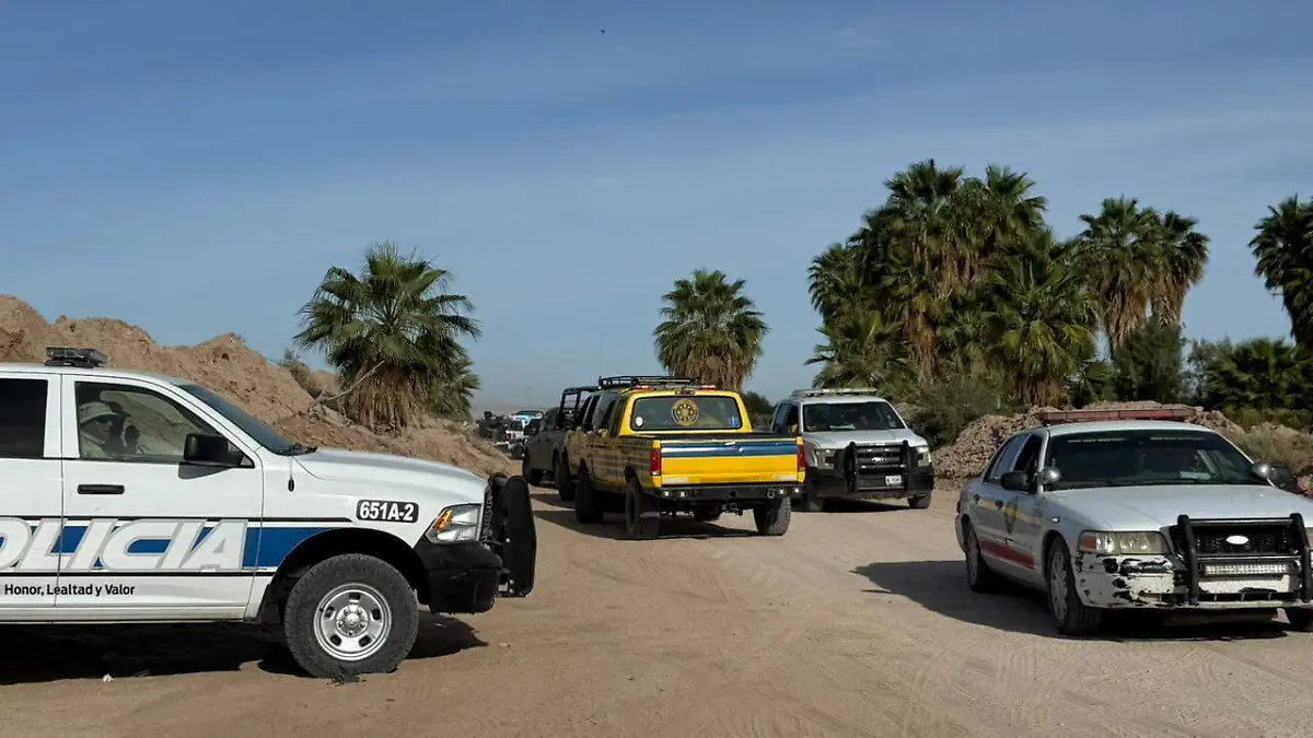 WhatsApp Image 2026-03-16 at 1.53.12 PM